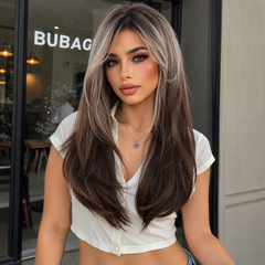 Ash Brown Silver Highlight Layered Straight 24
