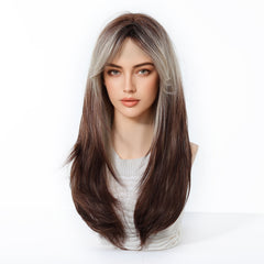 Ash Brown Silver Highlight Layered Straight 24