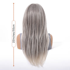LaceFront Silver Ash Blonde Straight 22