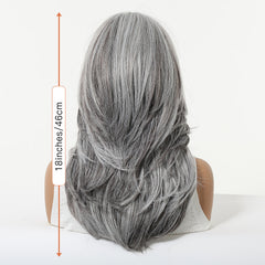 Silver Ash Layered Wig with Airy Bangs 18