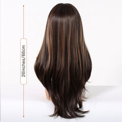 LaceFront Dark Brown & Golden Extra Long Curly 26