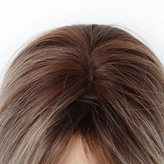 Ash Brown Silver Highlight Layered Straight 24